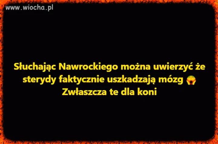 Nic dodać