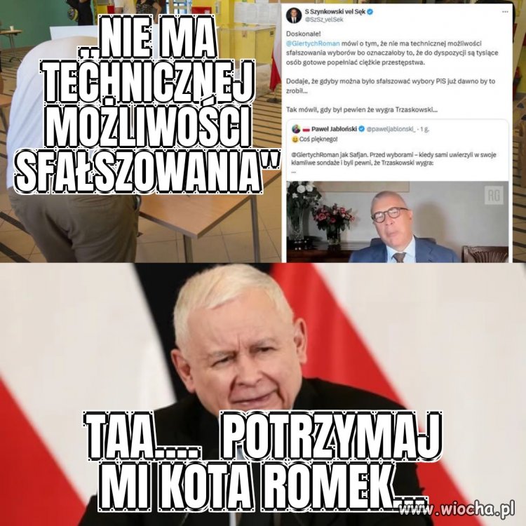 Kot prezesa