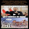 Ustawka... narodowy sport Polaków