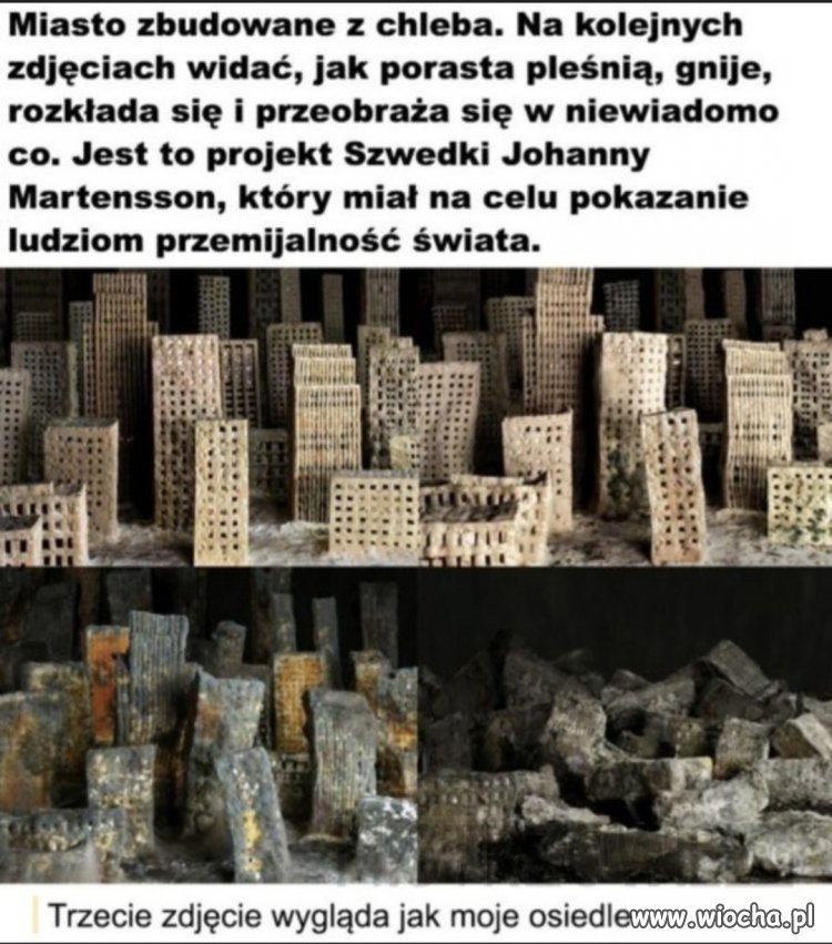 W Polsce to nic nowego 