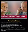 Debilna telewizja
