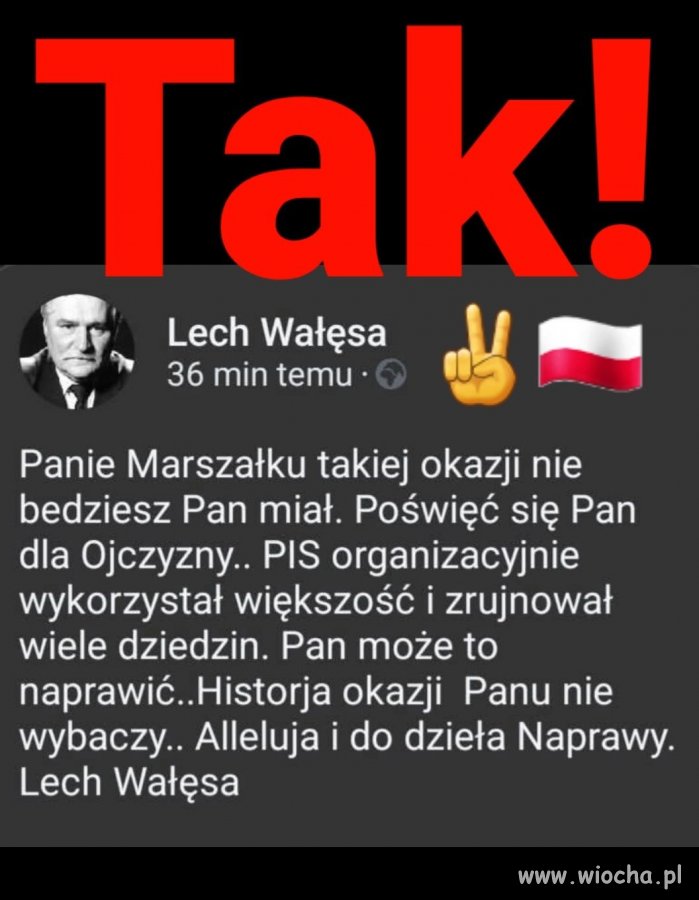 Hołownia, do dzieła !