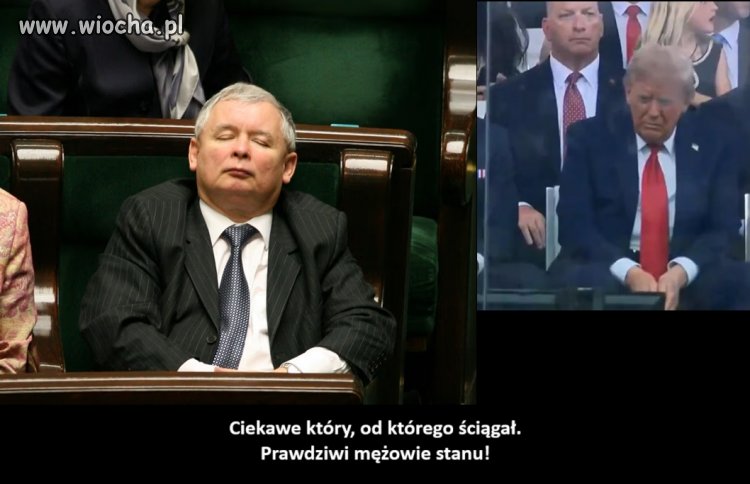 Nie wiedziałem, że trampek wzoruje się na kurduplu