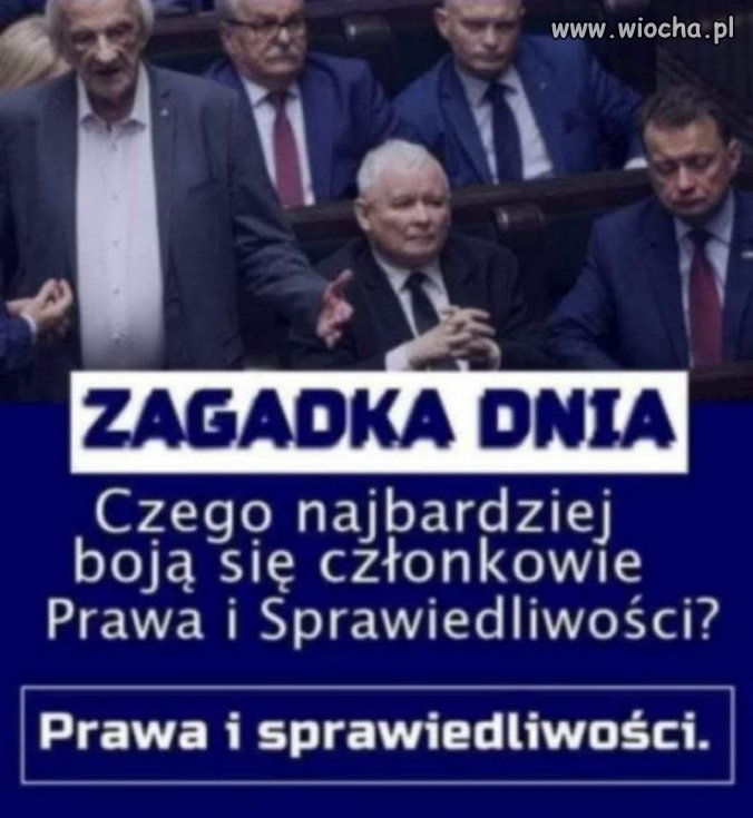 PILNE! 1300+ AFER PiS i Suwerennej Polski. 