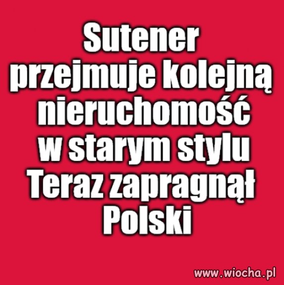 Wszystkie dziwki za alfonsem