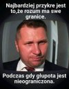 Wyjątkowa kanalia