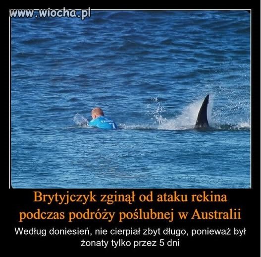 Mimo wszystko szkoda chłopa