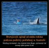 Mimo wszystko szkoda chłopa