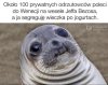 To jeszcze ujj zobacz sobie spotkanie klimatyczne 