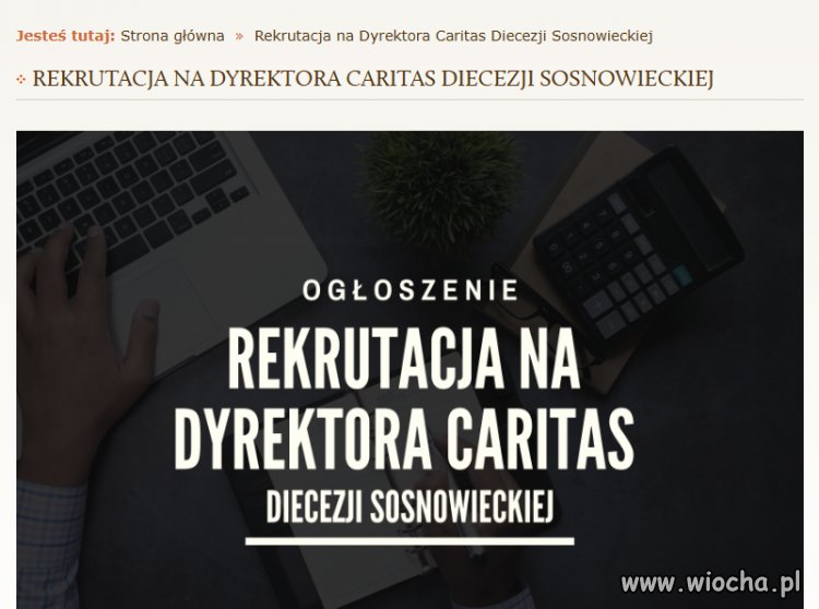 Szukasz pracy  ?