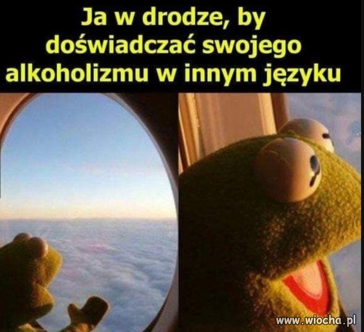 Elo wakacje 