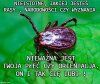 Niedoceniany