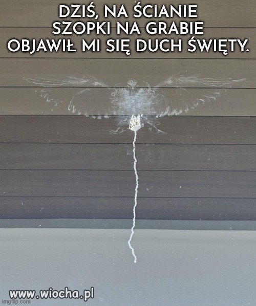 Chyba trzeba będzie
