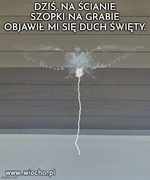 Chyba trzeba będzie