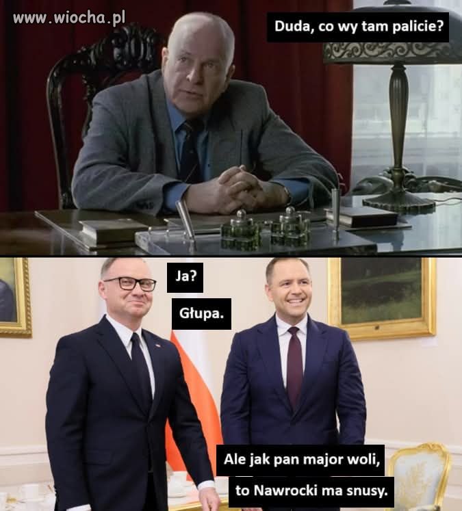 Głupi i głupszy.