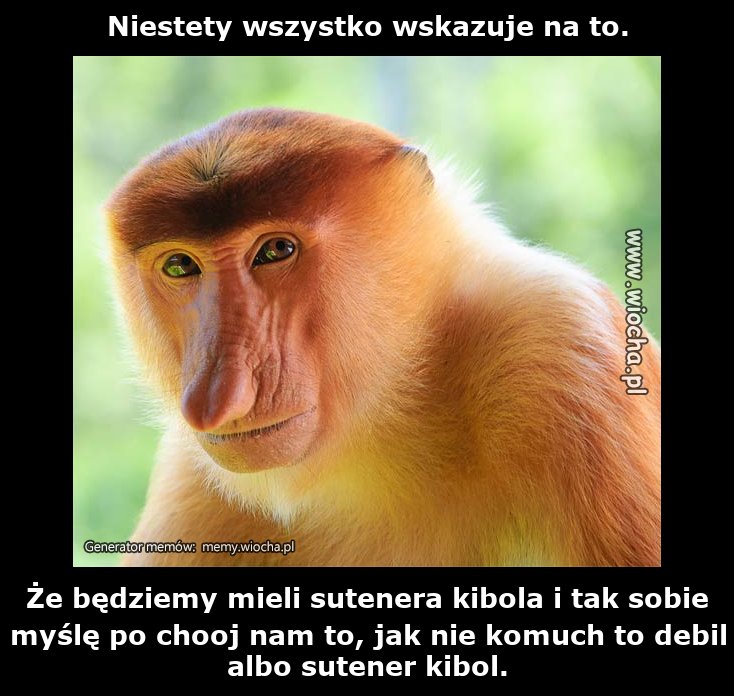 Niestety wszystko wskazuje na to.