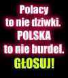 Głosuj póki jeszcze możesz !