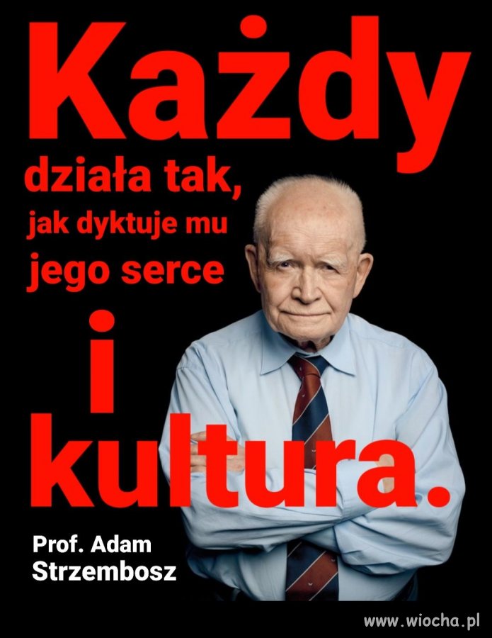 Jak działają PiSowcy to wszyscy już widzieli ...