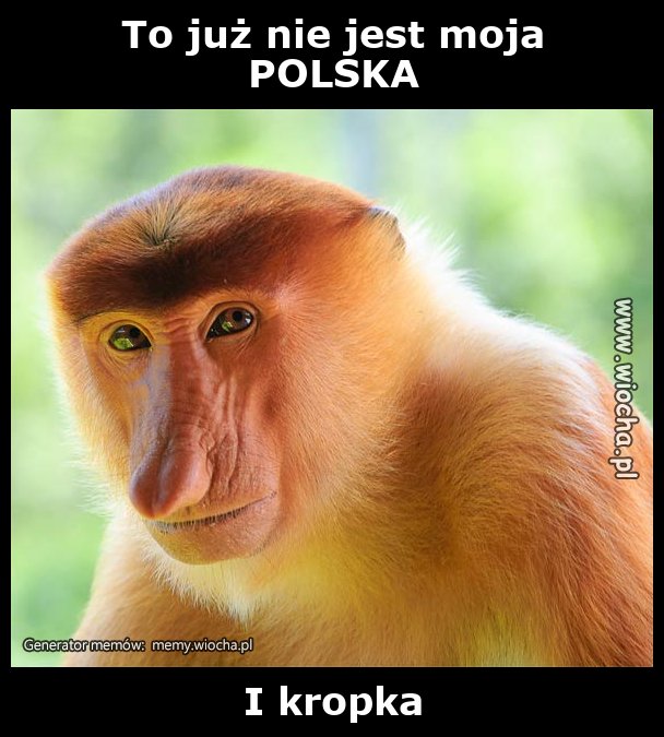 To już nie jest moja 
POLSKA