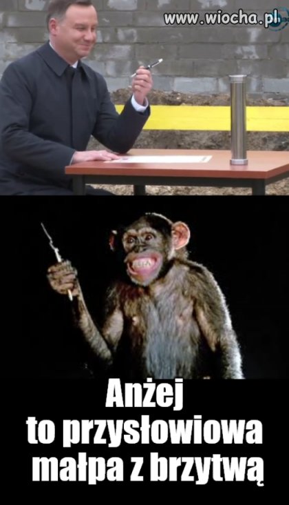 Anżej,Anżej...