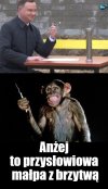Anżej,Anżej...