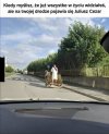 Wszystkie drogi prowadzą