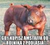 Uważajcie na siebie