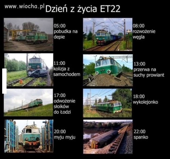 Dzień pełen wrażeń