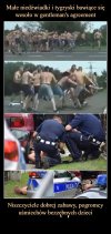 Dzieci wesoło wbiegły do lasu, wyciągnęły pały