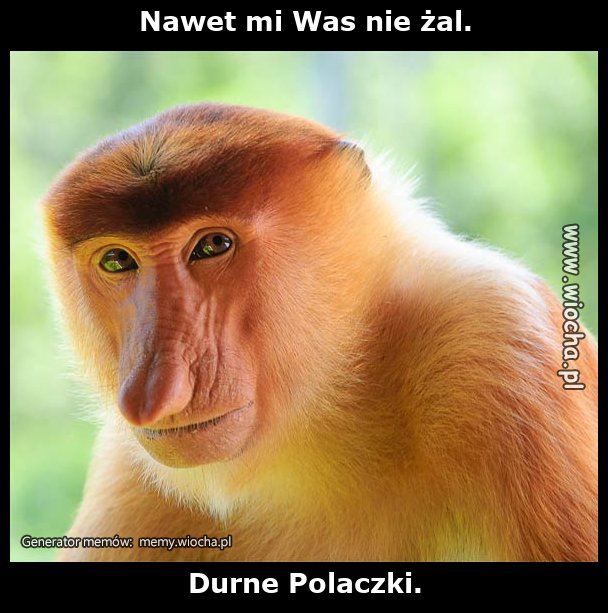 Nawet mi Was nie żal.