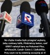 Koniec Świata! Talib każe prawactwo!