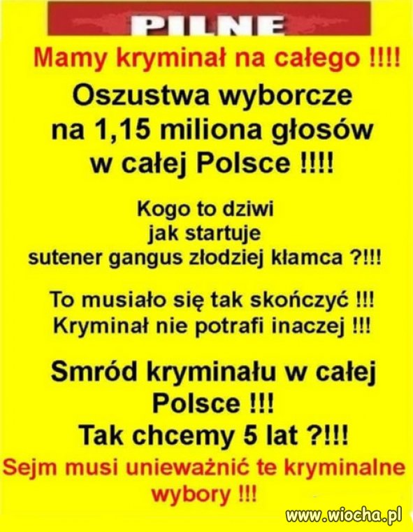 Strach oszustów PiSu, armia trolli zakłamuje rzeczywistość