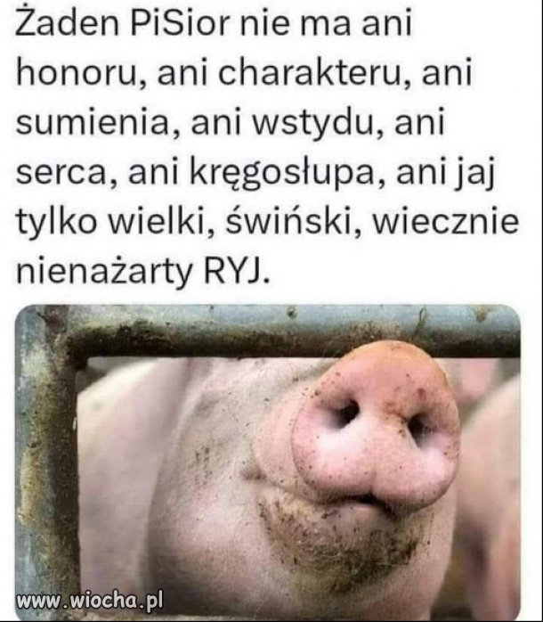 Kłamać, oszukać, ukraść w tym są najlepsze cwaniaczki PiSu!