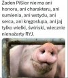 Kłamać, oszukać, ukraść w tym są najlepsze cwaniaczki PiSu!