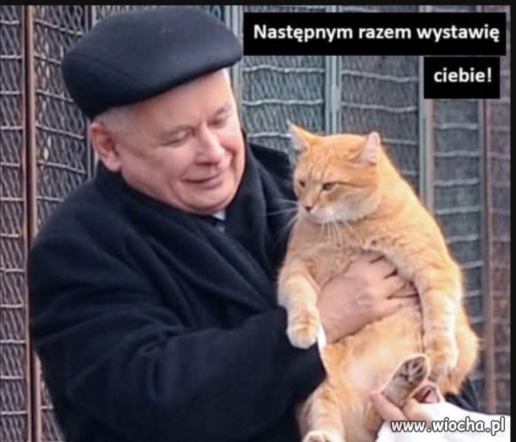 Jeśli dożyje to mógłby wygrać.