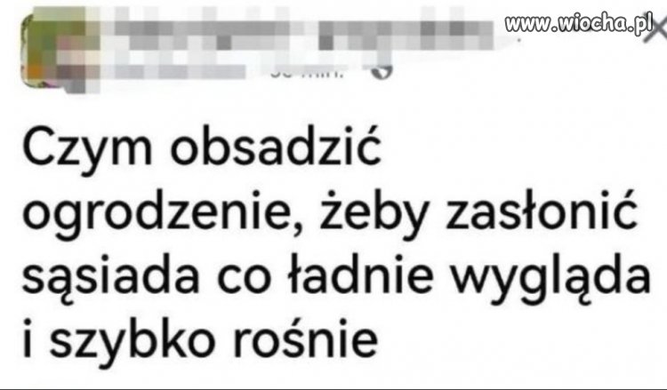 Taki sąsiad to skarb 