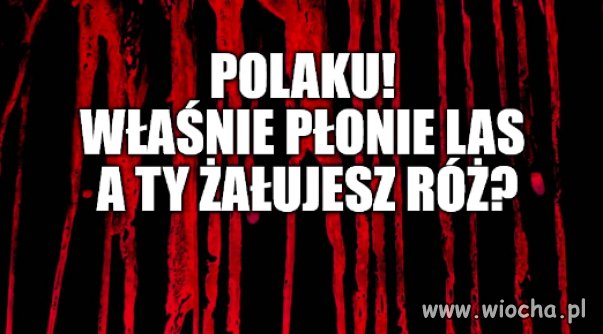 Kaprawym okiem ateisty patrząc ...