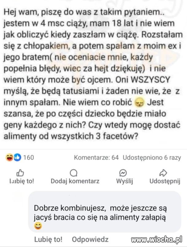 Lafiryndy mają ciężkie życie...
