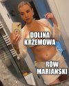 Schreiberowe szczeliny