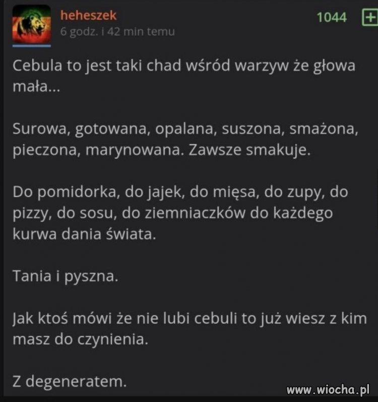 Cebula na talerzu 