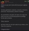 Cebula na talerzu 