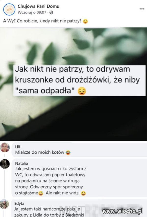 Trolluje PiS na jednej stronie a na drugiej PO.