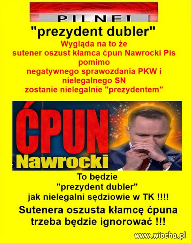 Kaczyński mógł wystawić kota i tez by go wybrali w nocy...