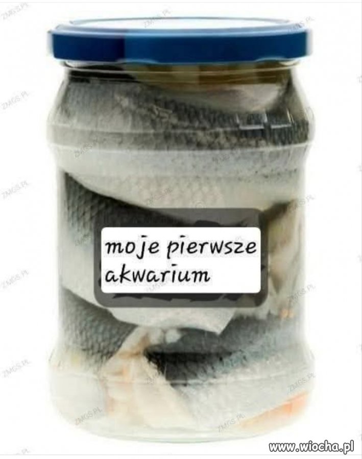 Moje pierwsze akwarium