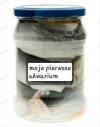 Moje pierwsze akwarium