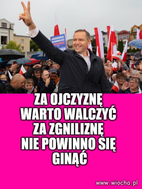 Katolicy chcą, by alfons ich prowadził 