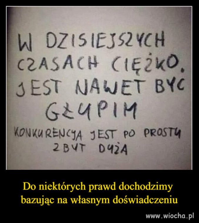 Holota trolli PiSu na wiocha, rosnie z dnia na dzien!