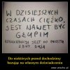 Holota trolli PiSu na wiocha, rosnie z dnia na dzien!