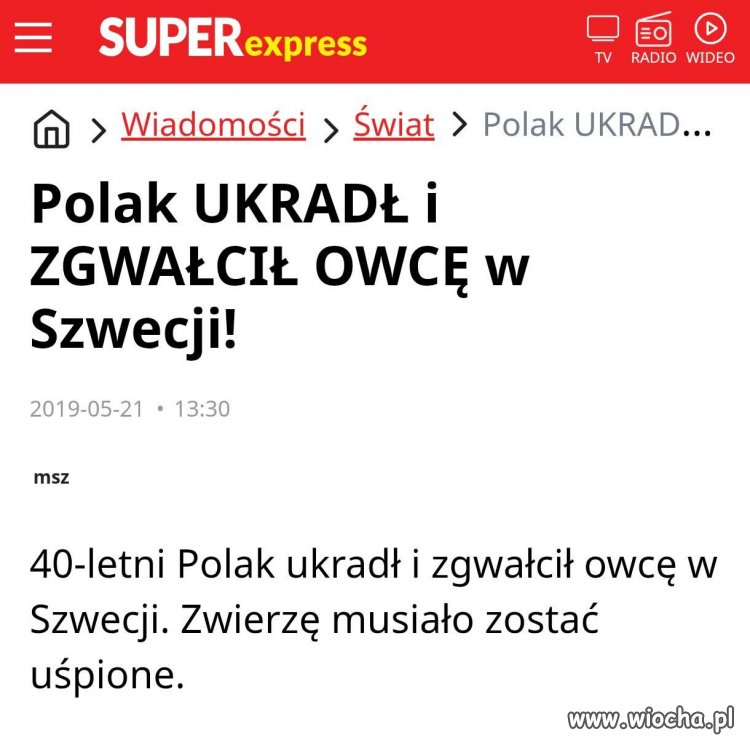 Ach ci imigranci
