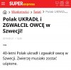 Ach ci imigranci